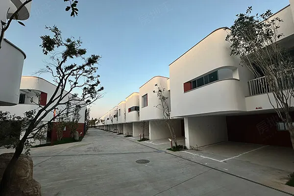 大林春不老建案主視覺