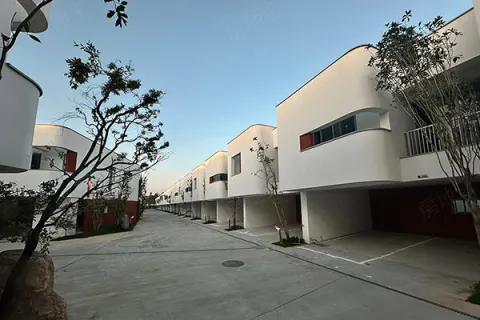 大林春不老建案主視覺