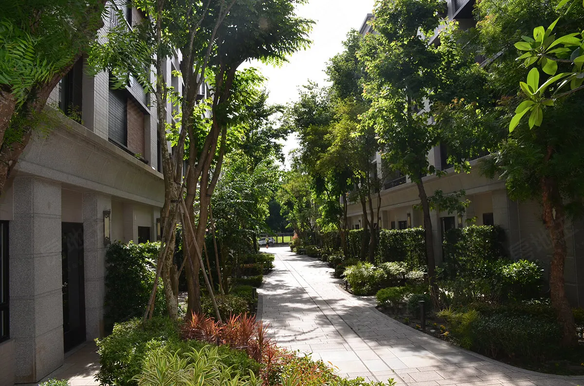 天悅墅建案圖輯 3