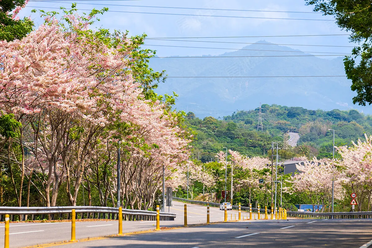 富裔莊-嘉禾莊園建案圖輯 3