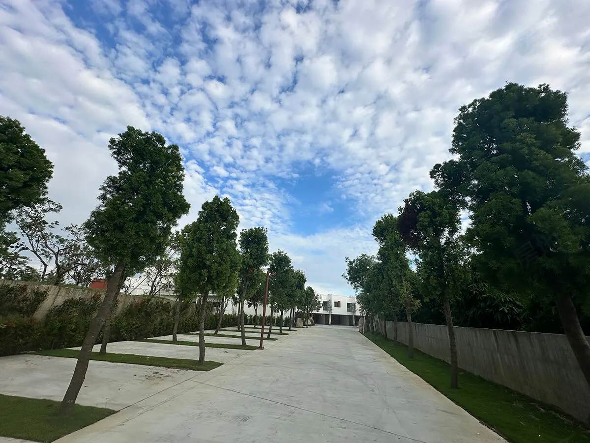 大林春不老建案圖輯 3