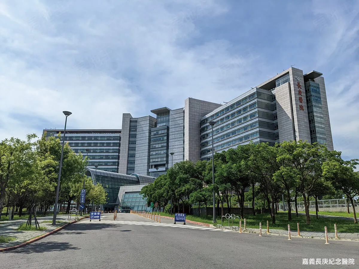 桃花新市鎮建案圖輯 5
